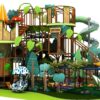 Play Jungle Forest